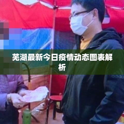 芜湖最新今日疫情动态图表解析