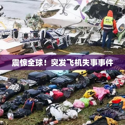 震惊全球!突发飞机失事事件