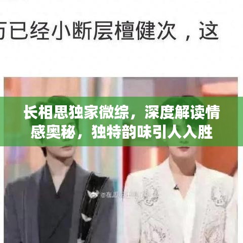 长相思独家微综,深度解读情感奥秘,独特韵味引人入胜