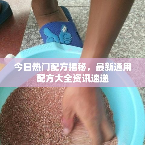 尽心竭力 第2页