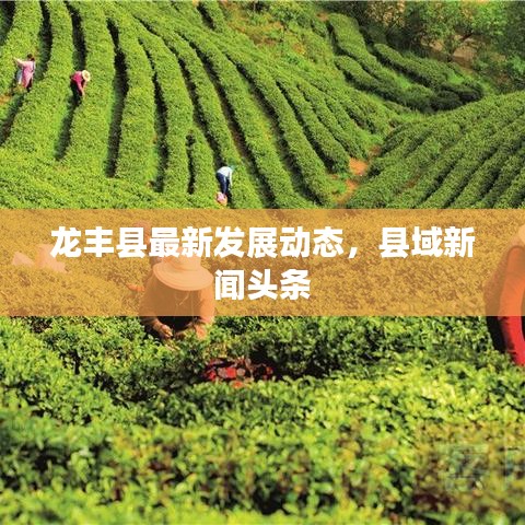 逆风飞扬 第3页