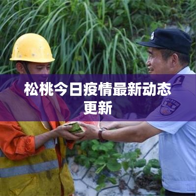 松桃今日疫情最新动态更新