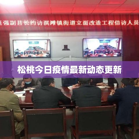 松桃今日疫情最新动态更新