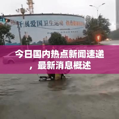 鸟之将死 第2页