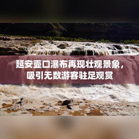 延安壶口瀑布再现壮观景象,吸引无数游客驻足观赏
