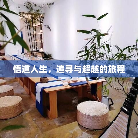 悟道人生,追寻与超越的旅程