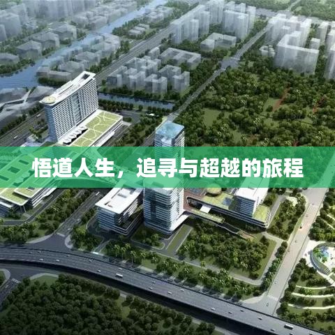悟道人生,追寻与超越的旅程