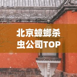 北京蟑螂杀虫公司TOP榜单,专业除虫服务排名揭晓!