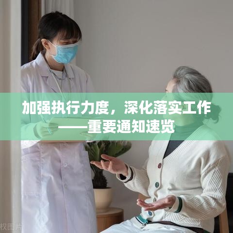 加强执行力度,深化落实工作——重要通知速览