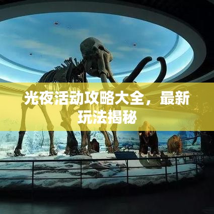 光夜活动攻略大全，最新玩法揭秘
