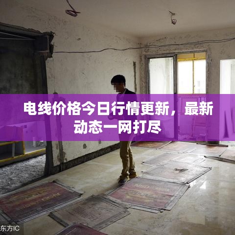 电线价格今日行情更新,最新动态一网打尽