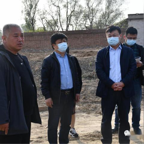 苹果查版本,实地调研解释定义|set_v2.415