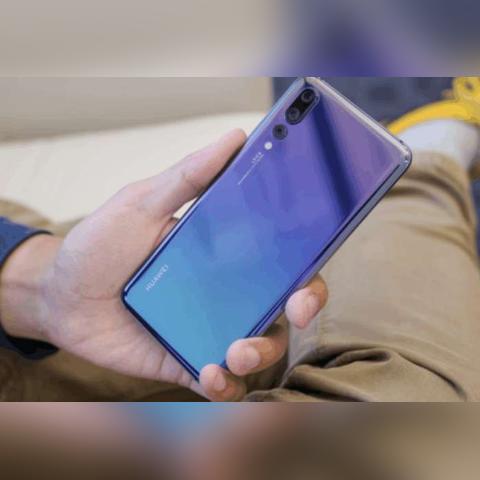 哪个版本的封神？揭秘专业款软件——理论解答解析说明专业款1_v8.845！