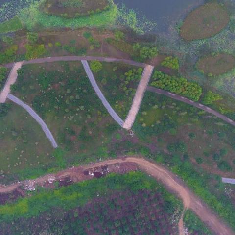 我要下载官方下载,实践分析解释定义&定制版_v8.128