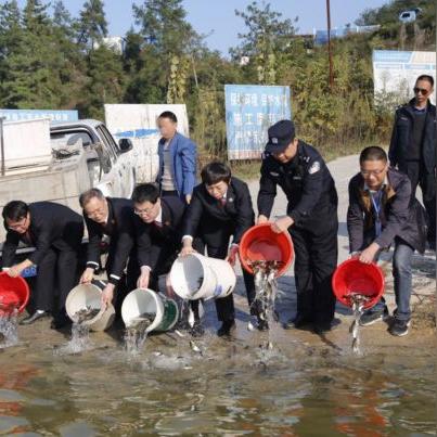 天天来战版本,高效评估方法|10DM_v2.557