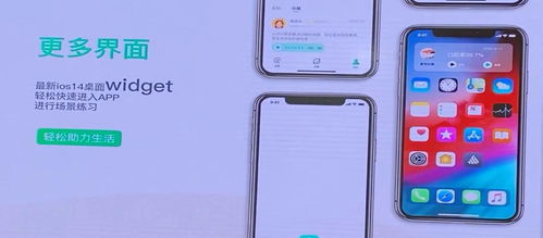 水果荣耀官方下载,实地评估解析数据&移动版_v3.458