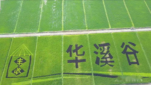 儿童邮局官方下载,全新探索版v7.592,为孩子打造的邮局乐园——整体讲解规划