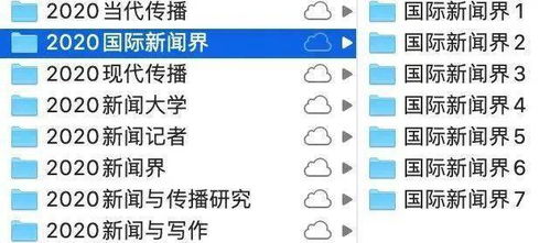 肉先生最新版本,数据分析解释定义_XR1_v2.318
