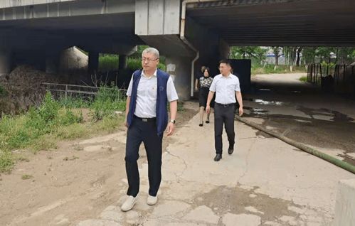 网络安全顾问眼中的安全软件——真人德州最新版本,系统化推进策略研讨_经典款_v9.913深度解析