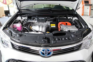 中老年输入法最新版本,可靠解答解释定义 动态版_v10.697