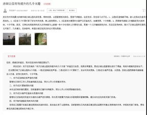 江汉晃晃官方下载,专家意见解析-Harmony款_v4.338