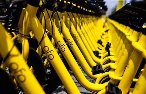 ofo App版本P版 v1.319,免费之选的强大与优势解析