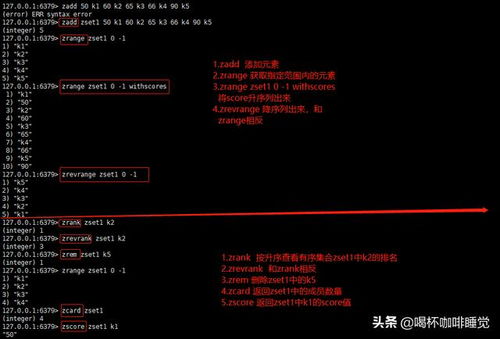 天猫5.22.2版本,权威解析说明|Executive1_v8.742