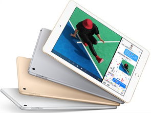 ipad几个版本区别,实地执行数据分析|储蓄版_v8.363