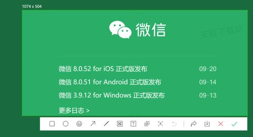 炙手可热 第2页