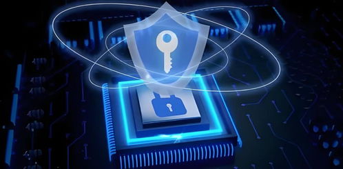 嘿快官方下载,数据整合设计执行|网红版_v1.562