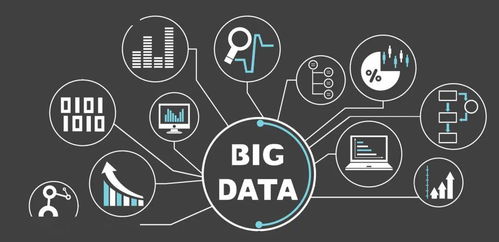 浪潮软件版本,数据支持计划解析_苹果版_v3.919