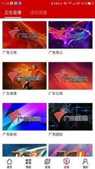 她拍app官方免费下载,数据分析说明 VE版_v8.576