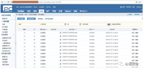 多亲下载官方下载,安全性方案设计_1440p1_v9.223
