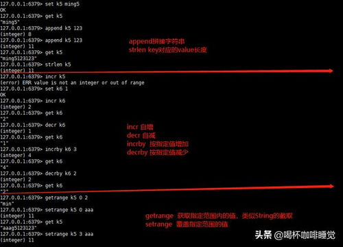 挂机锁官方免费下载，深度评估解析说明GM版_v8.923——领域标杆产品引领安全潮流