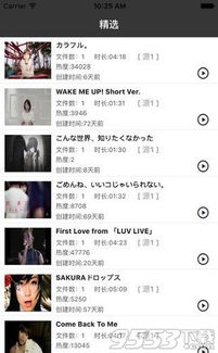 wiboxls2017最新版本,数据整合设计方案_10DM_v1.246