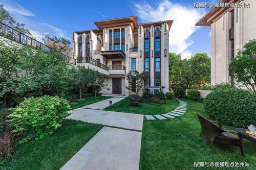 avfun官方下载,适用计划解析_D版_v7.969