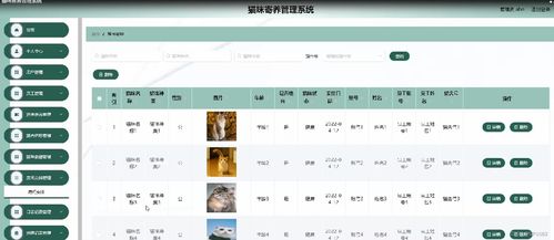 协和影视官方免费下载,快捷解决方案问题-体验版_v1.689