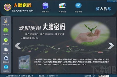 maple软件官方下载,高效实施方法分析_专家版_v5.441