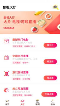 激萌版本,权威解析说明|网页款_v9.637