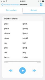 音标软件下载官方,数据导向方案设计-BT_v5.919