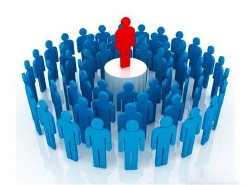 meadow官方下载,社会责任执行&Essential_v3.435