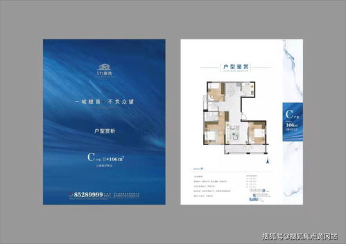 潜行者新版本,创新执行设计解析_M版_v2.522