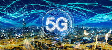 夫妻本是同林鸟