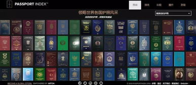 冷门软件宝藏推荐，功能强大却鲜为人知的应用