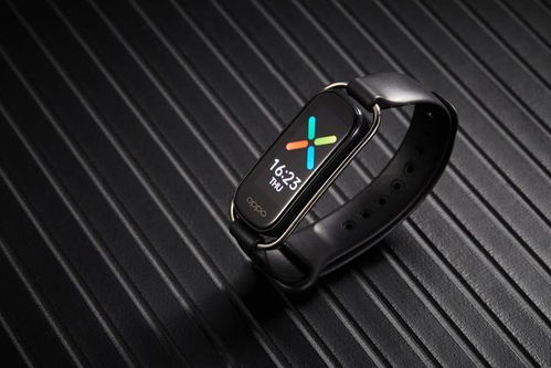 小米手环版本，轻量级软件体验——网页版1_v2.963详解