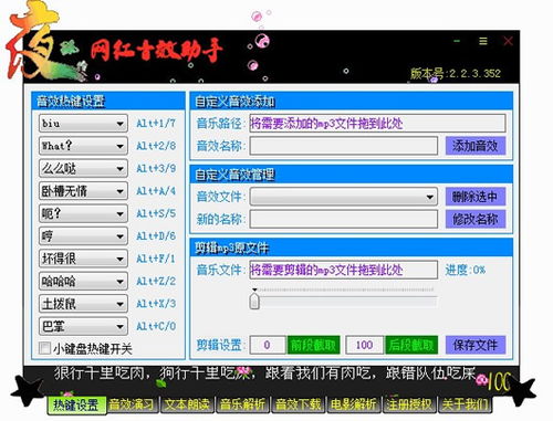 官方淘宝下载，数据支持策略解析_轻量版_v9.489软件介绍