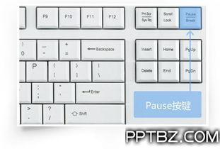 金山打字精灵官方下载,定性解读说明&amp;Executive_v3.748