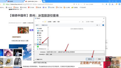 oo浏览器官方下载,快速方案落实|VR版_v1.251