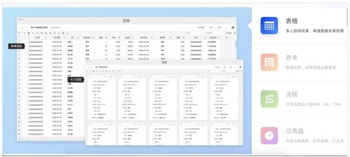 系统工具软件exsl表格官方下载，可靠执行计划_钻石版_v4.315，全面系统优化与管理的理想选择