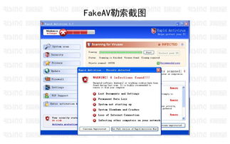 Lonely Screen官方下载，新手友好型软件解析与深入数据应用解析